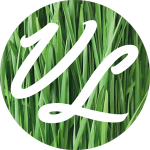varga_livius-website-logo2
